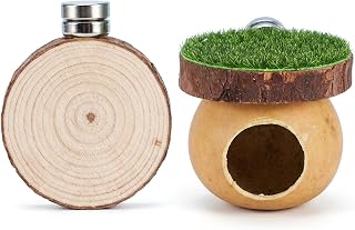 2 Pcs Jumping Spider Accessories,Wooden Climbing Platform Terrarium Decor | Textured solid wood for easy climbing,easy to reposition for customized terrarium layout