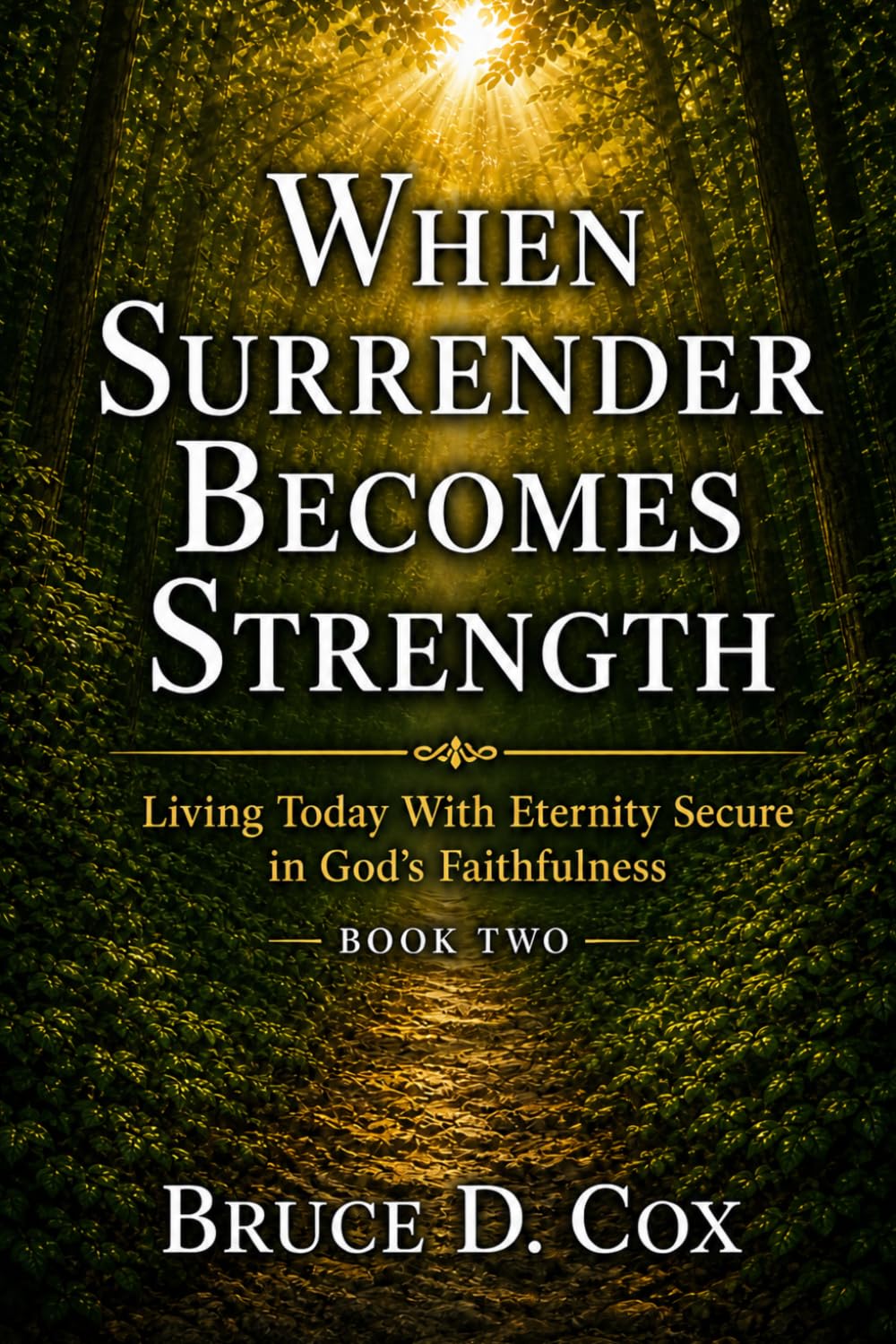 WHEN SURRENDER BECOMES STRENGTH: Letting Go, Trusting God, and Finding Strength in Him (When God Writes The Story Devotional Series)