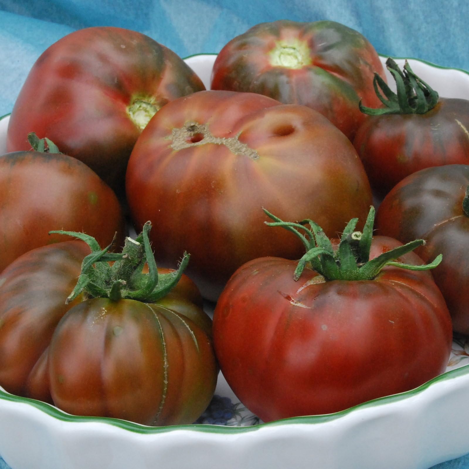 Plant World Seeds - Tomato Paul Robeson Seeds (Tomato Seeds)