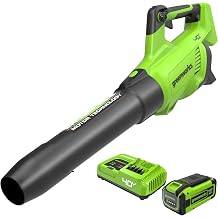 Greenworks 40V (160 MPH / 700 CFM) Cordless Brushless Axial Leaf Blower, 8.0Ah Battery and Charger Included
