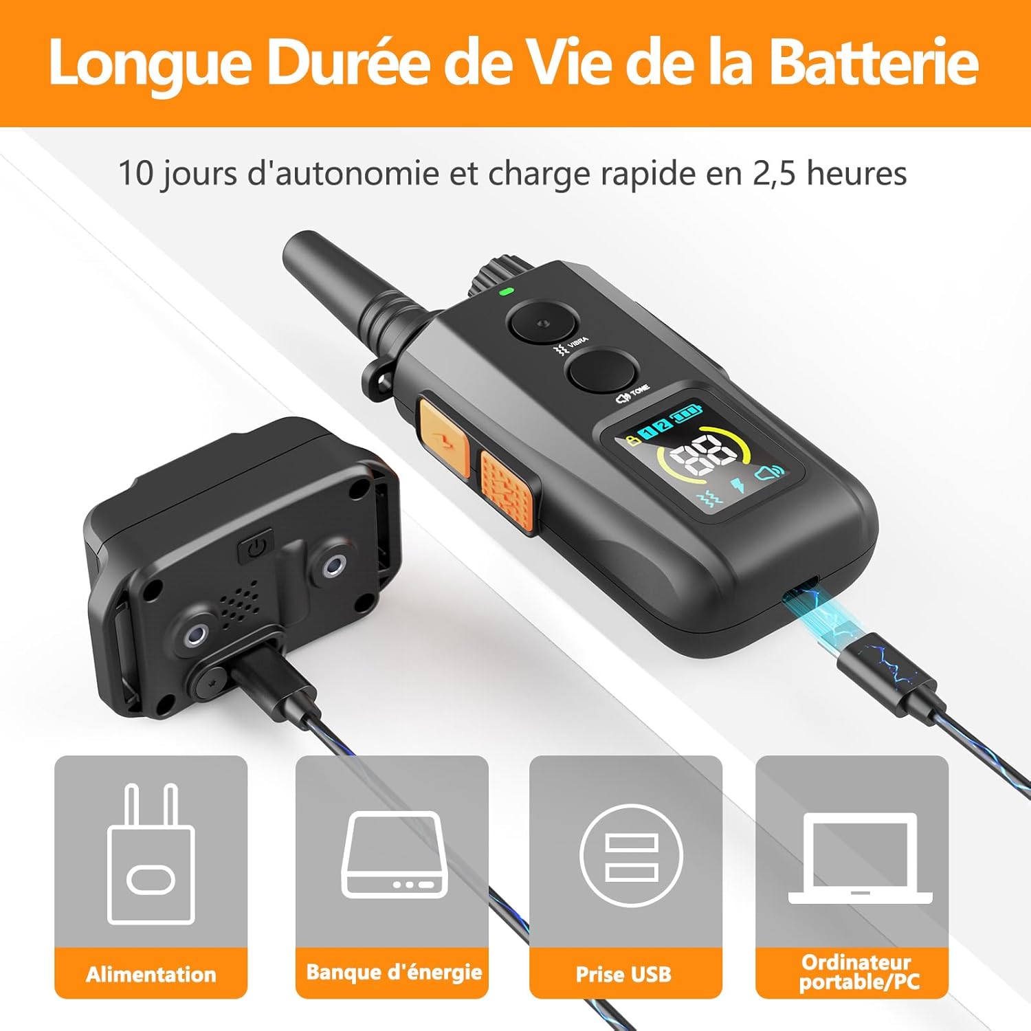 Accessoires inclus avec le collier KASEEMI