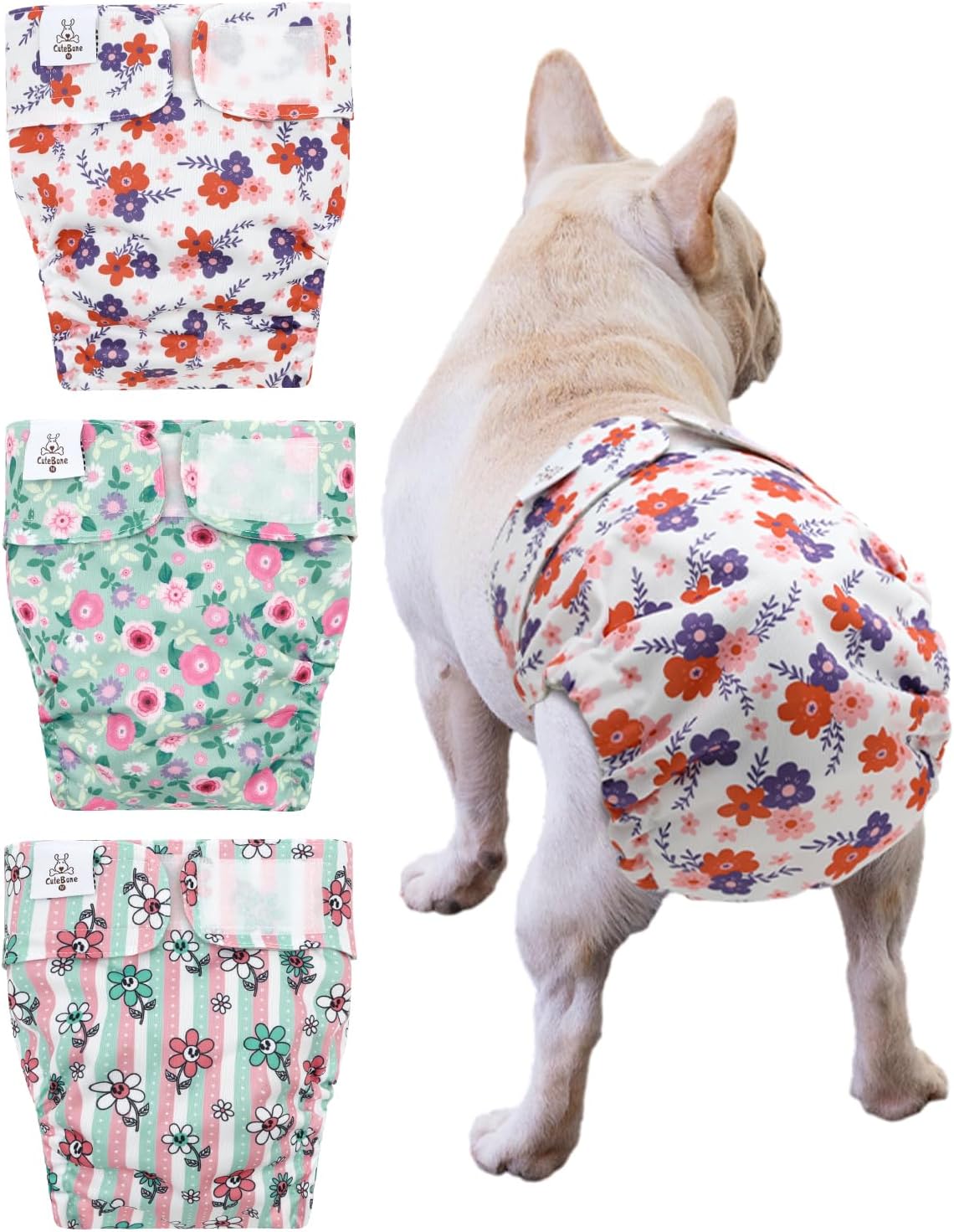 Furry Friend Finds & More!