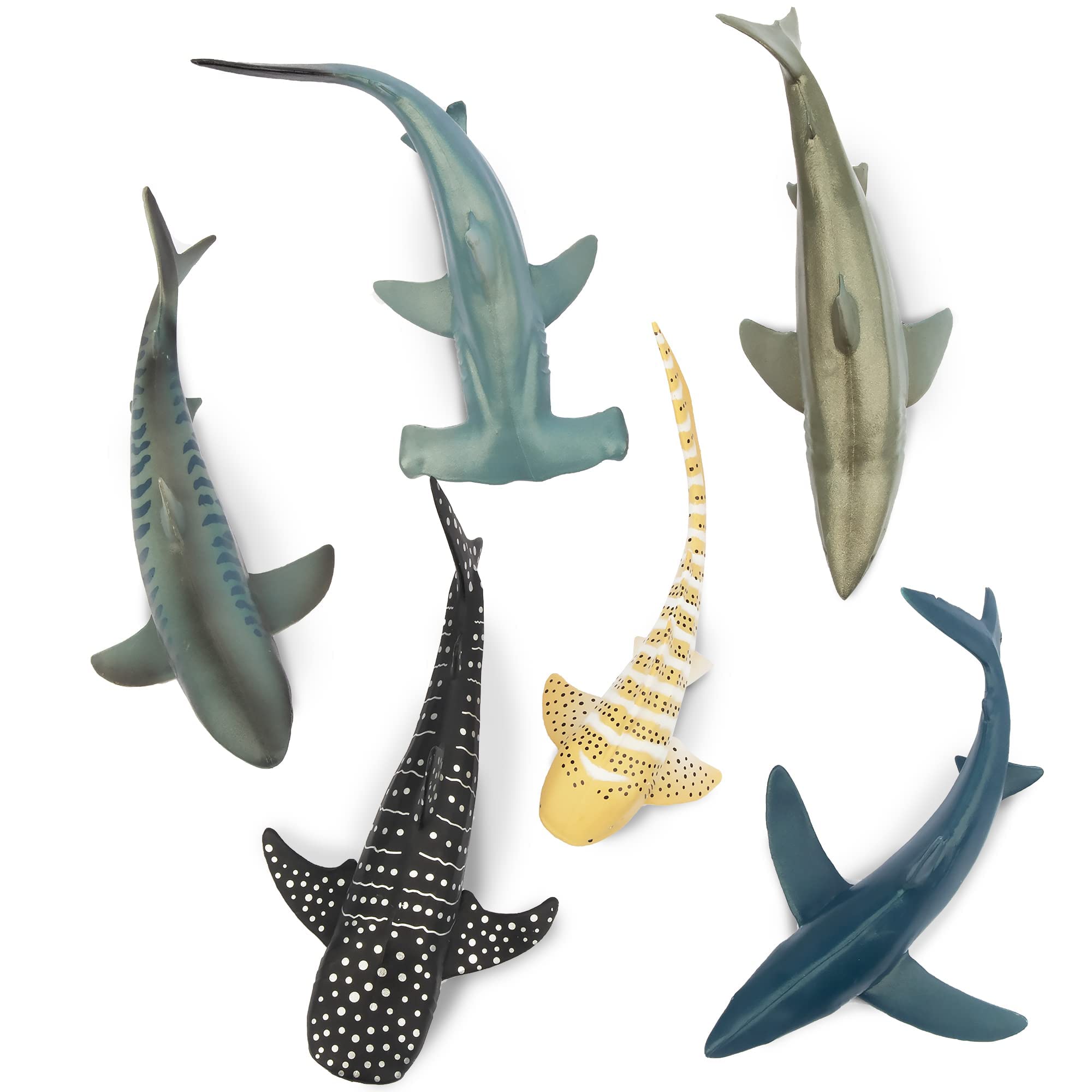 TOYMANY Set di 6 personaggi di squalo con animali marini, giocattolo da 12 a 14 cm, realistico, giocattolo di squalo per bambini, per giocare o come decorazione