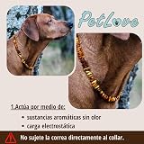 Ver la foto 4