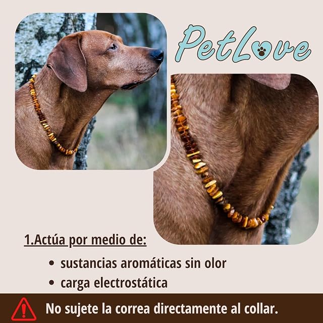 Foto 4 de 5 de Collar antipulgas PetLove para Perros y Gatos • 100% ámbar báltico • Collar antipulgas para Perros • Collar…