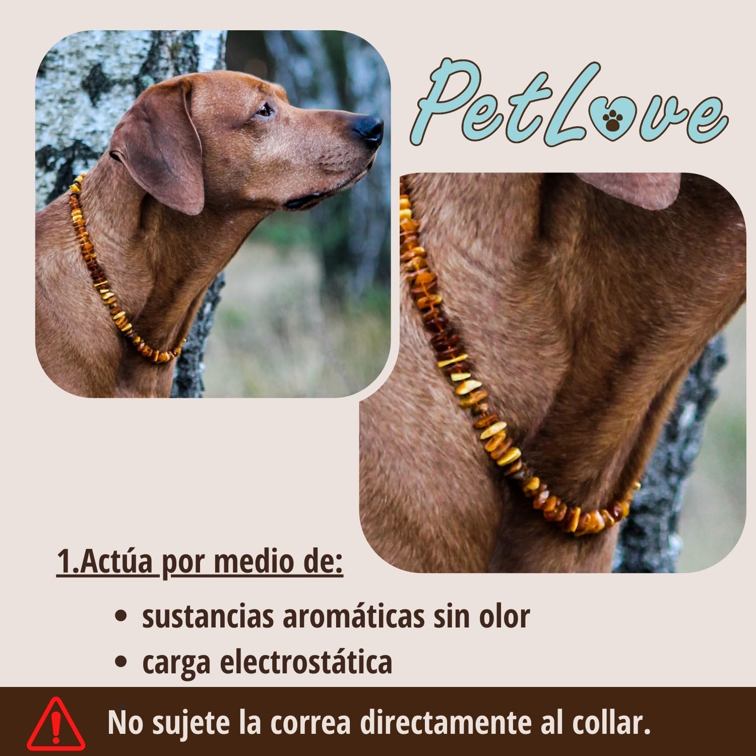 Collar antipulgas PetLove para Perros y Gatos • 100% ámbar báltico • Collar antipulgas para Perros • Collar antipulgas para Gatos • Longitud: 50 cm