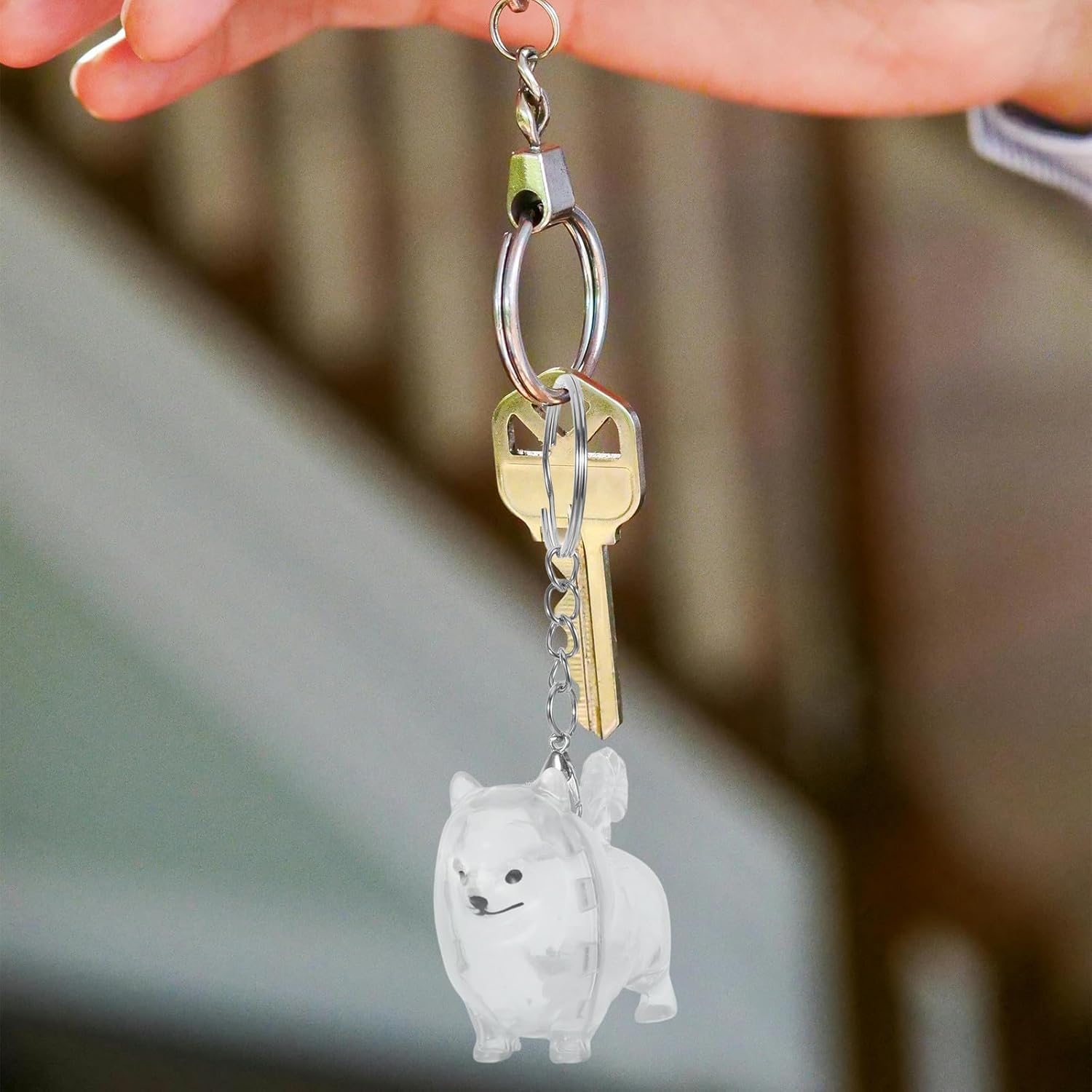 BESPORTBLE 2pcs Pet Hair Memorial Keychain Box for Cat and Dog Hair Storage image 5