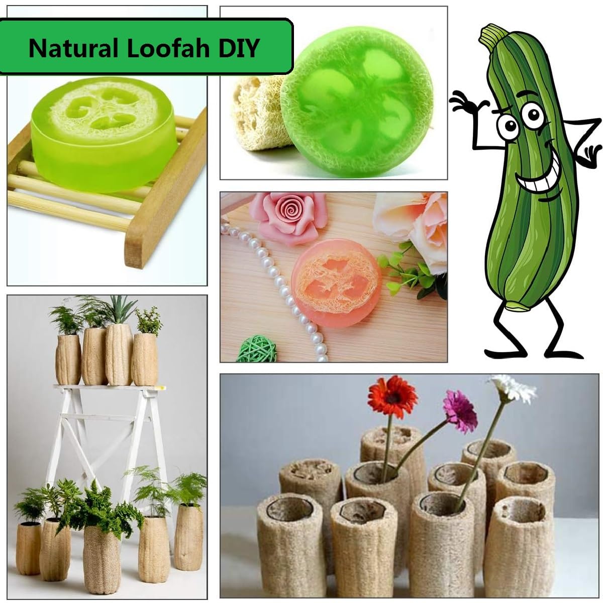 Luffa, zmywacz Loofah 6 szt. naturalna gąbka złuszczająca 10 cm do pielęgnacji ciała i usuwania martwej skóry - do łazienki, prysznica i kuchni