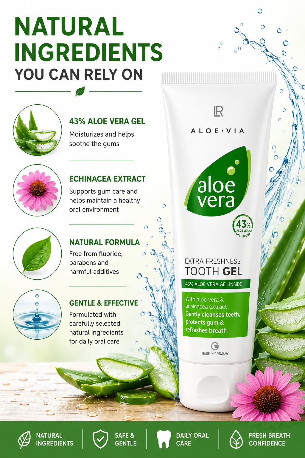 Amazon.com : Aloe Vera Tooth Gel - Extra Freshness Flouride-Free Toothpaste  by LR of Germany - 100 Ml - Active dental cleaning with Echinacea (1) :  Health & Household