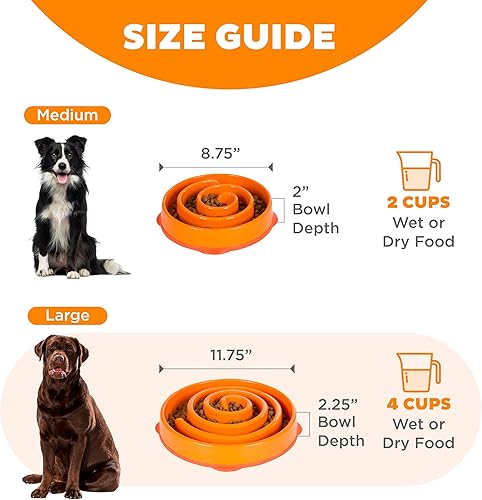 Vista 12 de Outward Hound Fun Feeder Slo Bowl Cuenco para perro de alimentación lenta, tamaño grande/regular, color turquesa