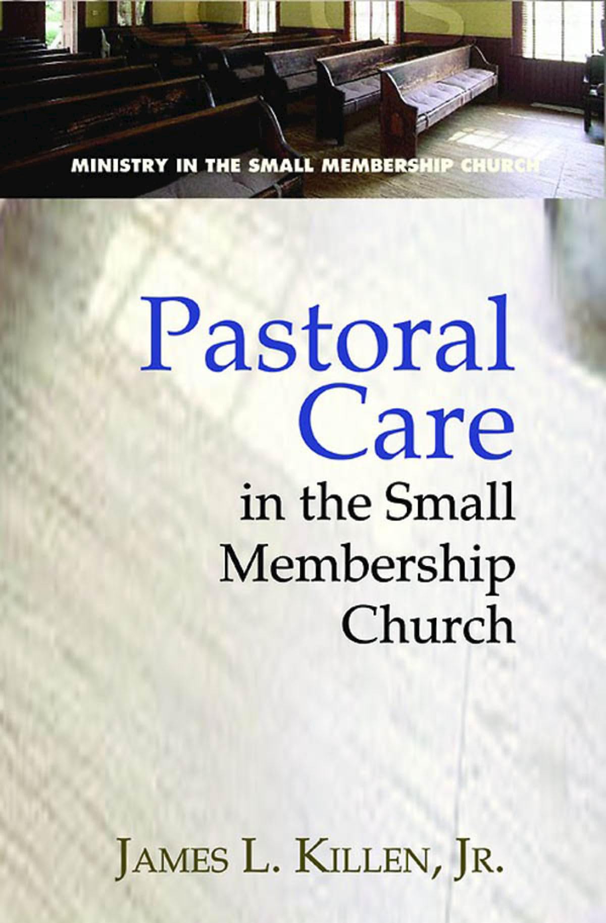 Pastoral Care in the Small Membership Church: viii (Ministry in the Small Membership Church)