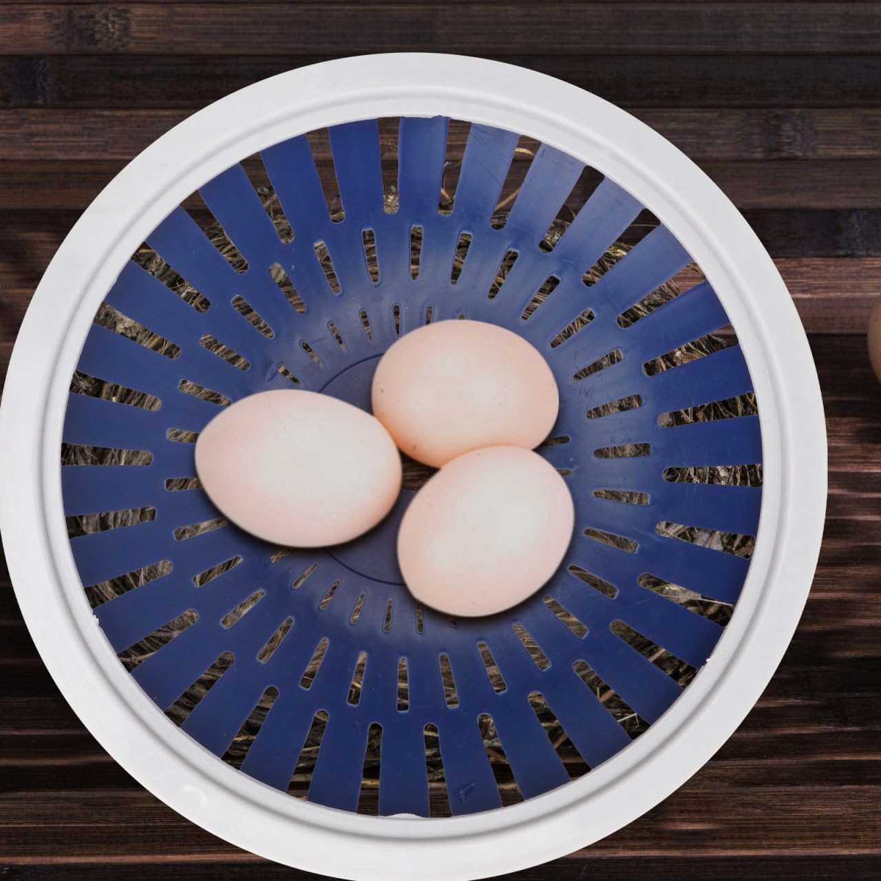 Mipcase Pigeon Nest Egg Basin 8.66 Inch Plastic Bird Nest Bowl Pack of 5 for Pigeon Breeding and Bird Cage Accessories Pet Supplies