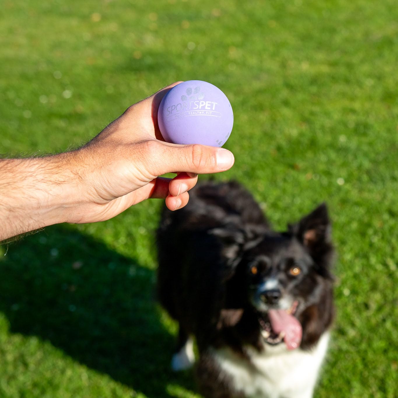 SPORTSPET High Bounce Ball