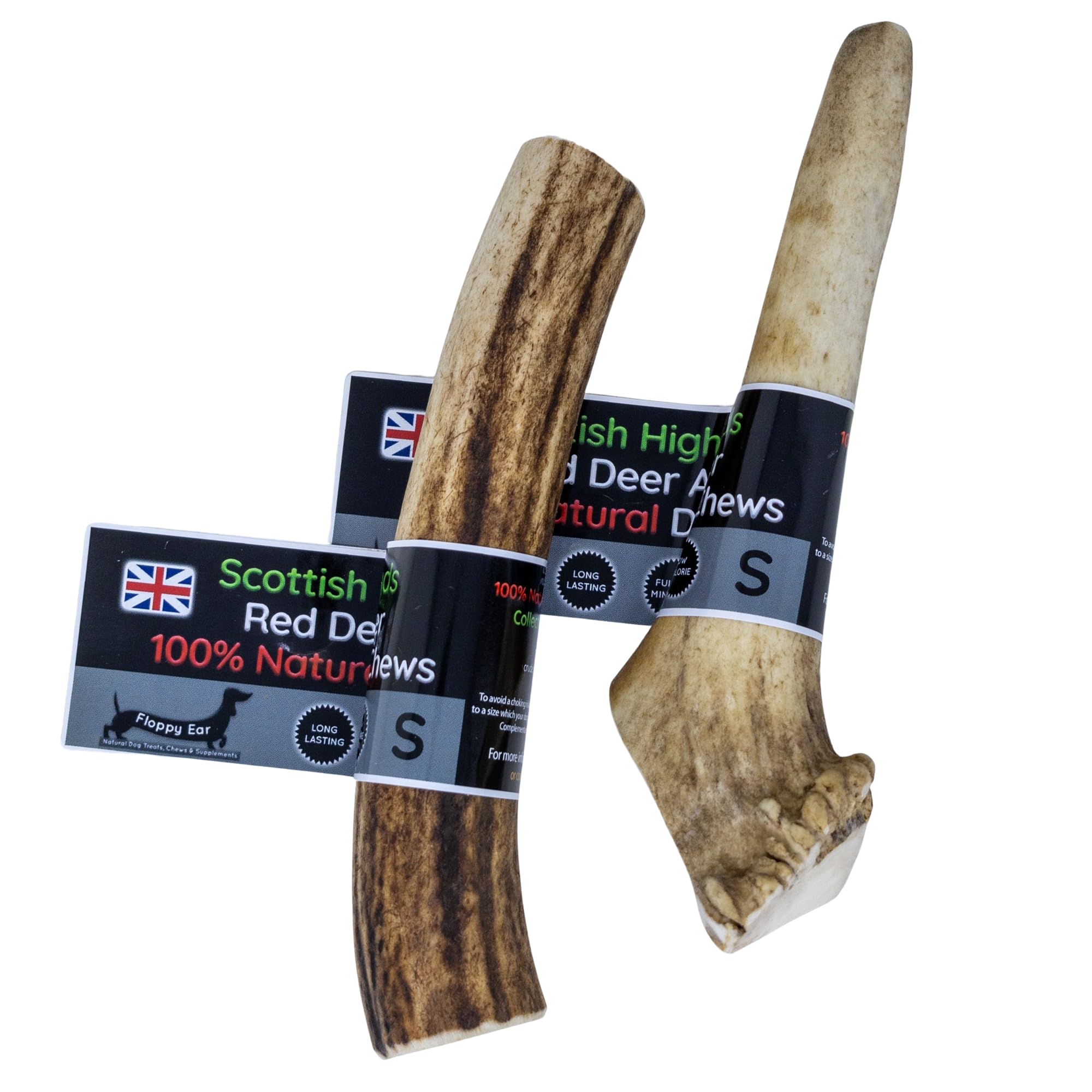 Scottish Deer Antler Dog Chews – 100% Natural, Long-Lasting & Naturally Shed (Pack of 2, Small 60–80g) – Ideal for Puppies & Small Breeds