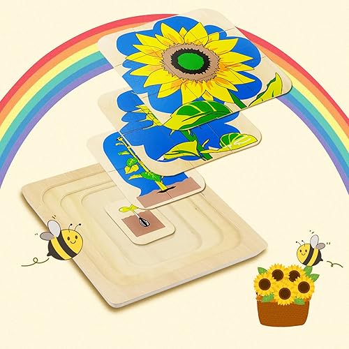 Miniatura 4 de Montessori - Rompecabezas de madera para niños de 4 a 8 años, rompecabezas de ciclo de vida de 4 capas de girasol para niños pequeños, rompecabezas