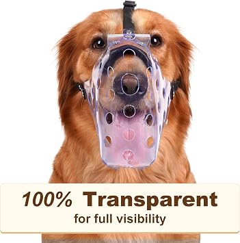 Mayerzon Clear Basket Dog Muzzle for Large Medium Dog Labrador