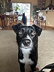 Review Image by Amazon Customer