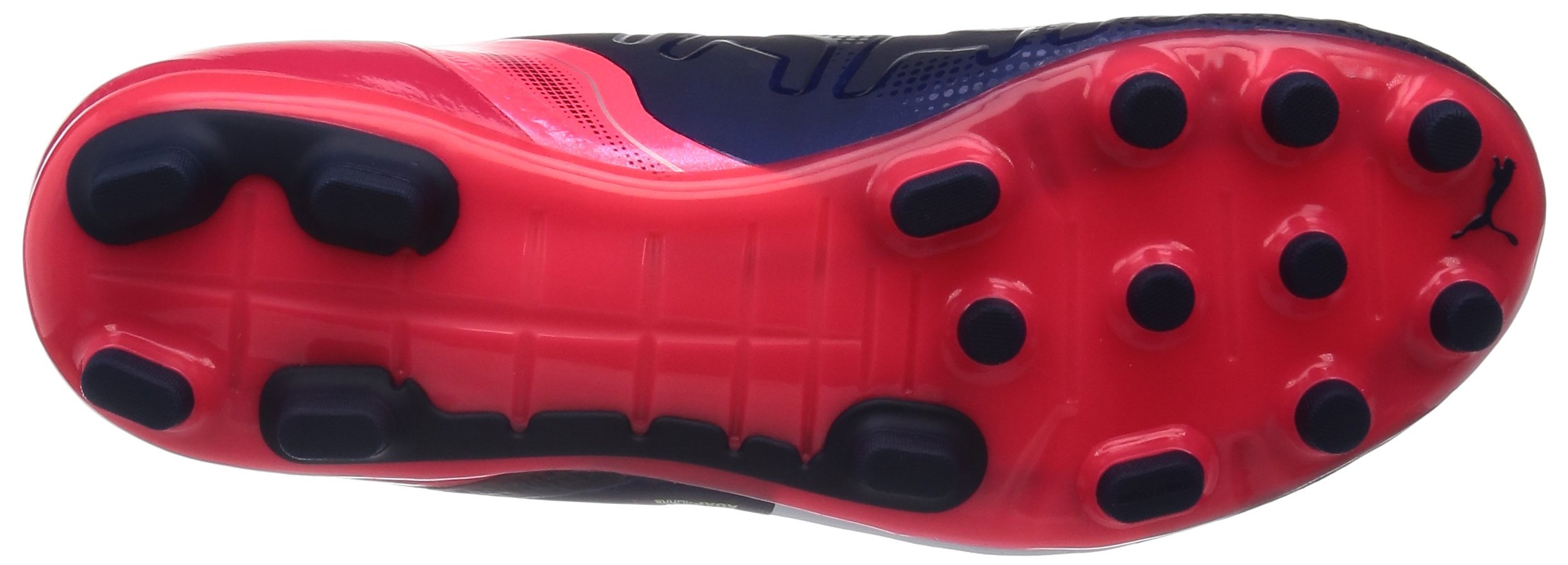 Puma Zapatillas de fútbol evoPOWER 1.2 AG