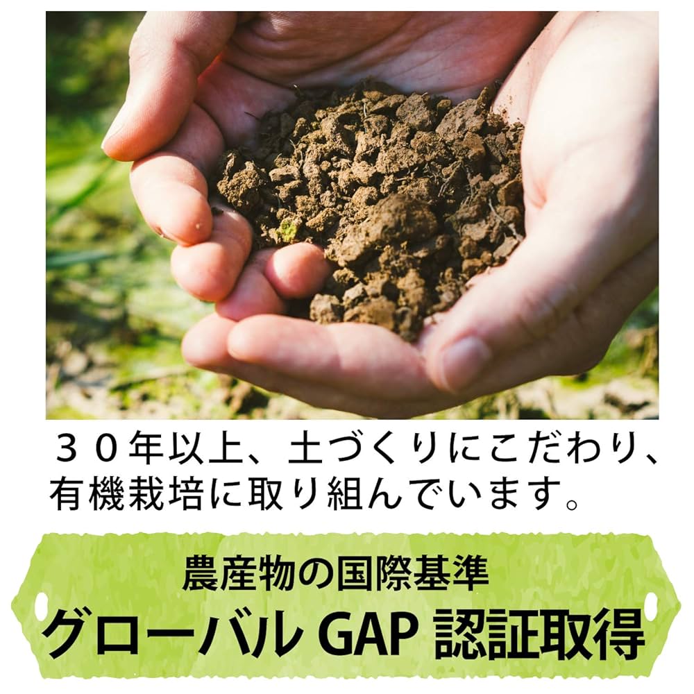 ★新米★農家直売・特別栽培米コシヒカリブレンド白米２４ｋｇ ☆新米☆農家直売・特別栽培米コシヒカリブレンド白米24kg