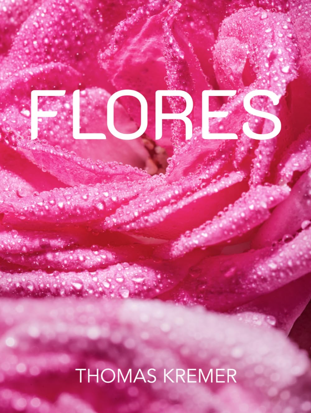 Flores composition de fleurs durables haut de gamme design minimaliste