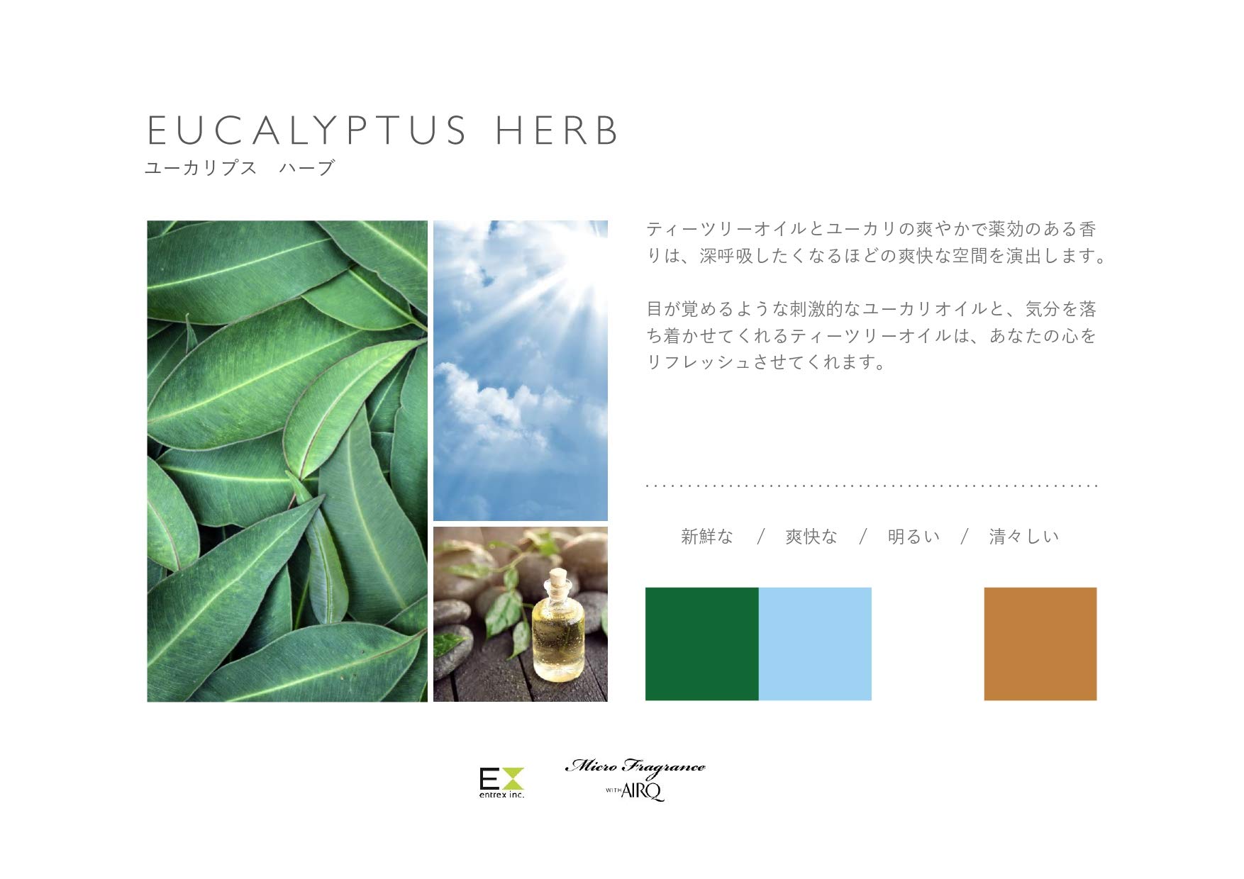 Amazon.co.jp: PROLITEC / AirQ160 Aroma Commercial Use (Eucalyptus 