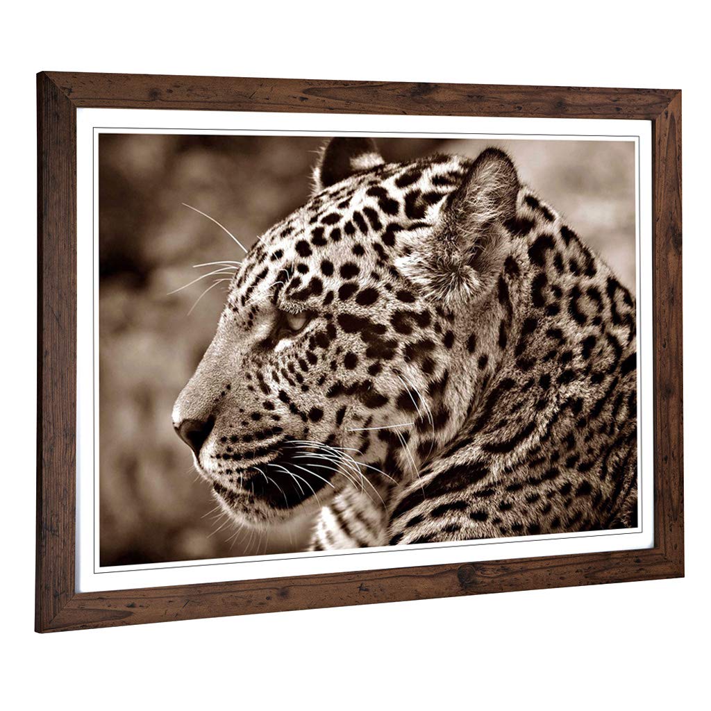 Big Box Art Framed Print of Jaguar Design | Wall Art Picture | Home Decor for Kitchen, Living, Dining Room, Lounge, Bedroom, Hallway, Office, Walnut, A2 / 24.5x18 Inch / 62x45cm