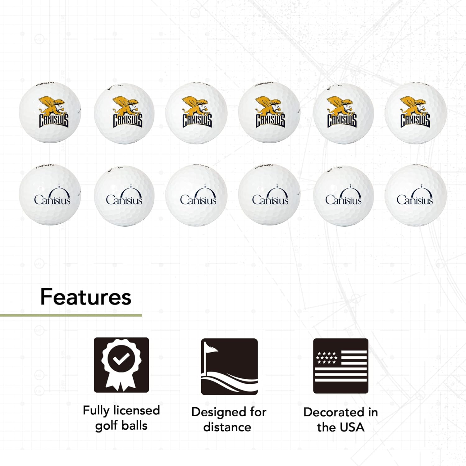 Desert Cactus Canisius College Golf Balls 12 Pack – CC Golden Griffins Full Color Dozen – Officially Licensed Sport Team Accessory