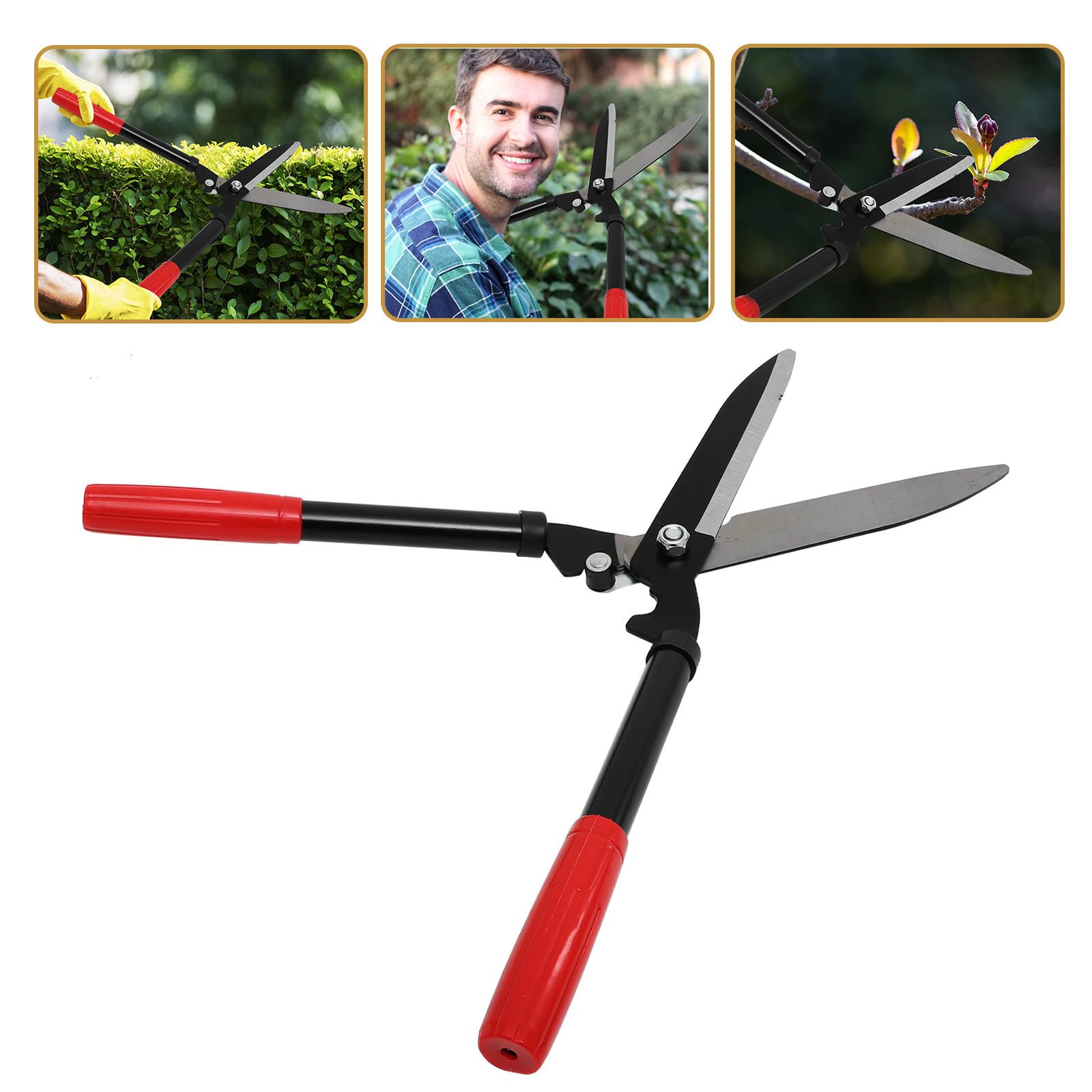 Ciseaux de Jardinage pour Arbres Fruitiers en Acier au Carbone, Légers