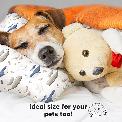 Miniatura 8 de KeaBabies Almohada para niños pequeños con funda de almohada, tamaño jumbo de 14 x 20 pulgadas, almohadas suaves de algodón orgánico para dormir,