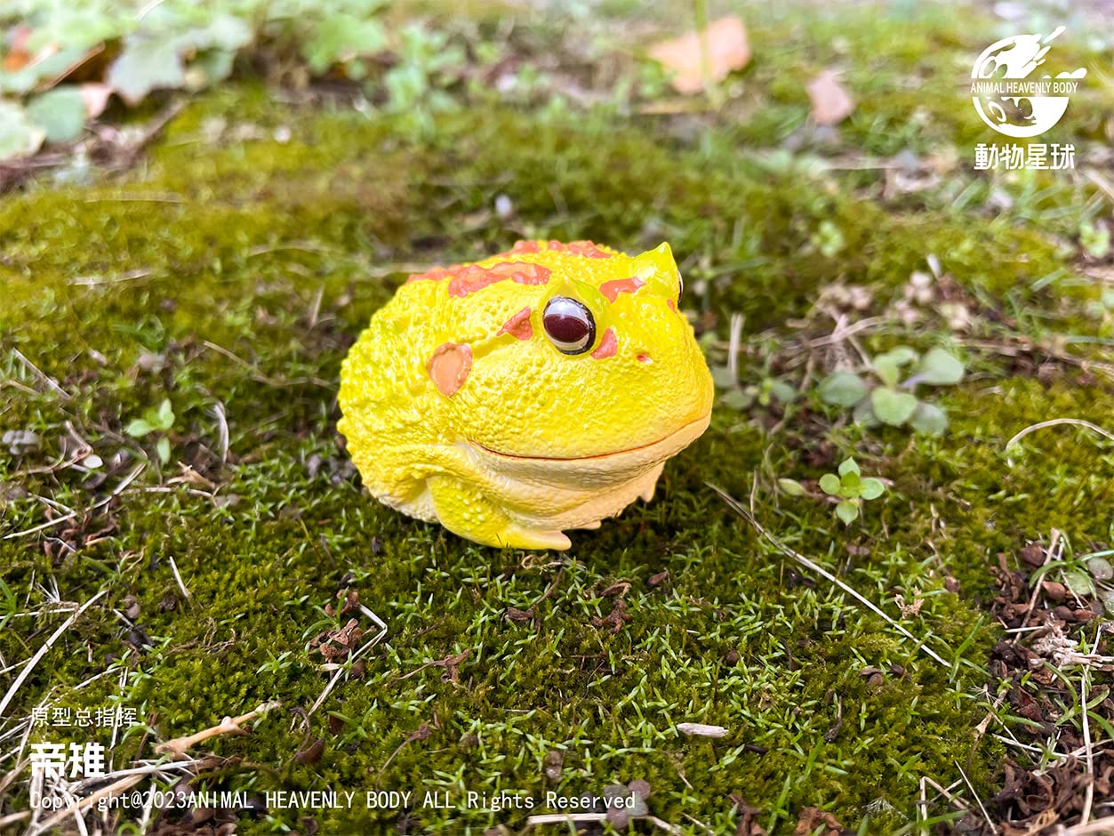 Amazon.co.jp: EUHELOPA 動物惑星第13弾 ブラインド ボックス カエル