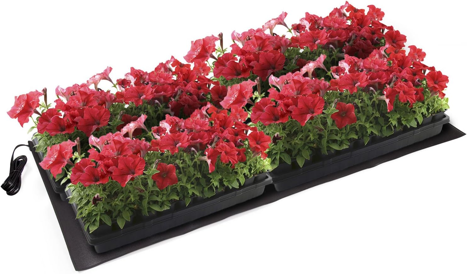 Apollo Horticulture 47.25"x20.75" Seedling Heating Mat for Propagation and Cloning