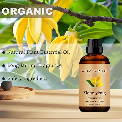 Miniatura 284 de Aceites Esenciales de Orégano, 60ML Aceite Esencial Puro y Natural para Difusor de Aromaterapia - Orégano / 2 Fl Oz