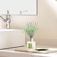 Vista 5 de Airkeep Juego de difusor de varillas – 3.38 onzas líquidas (3.4 fl oz), difusor de aroma de bambú para el hogar, incluye 8 varillas difusoras