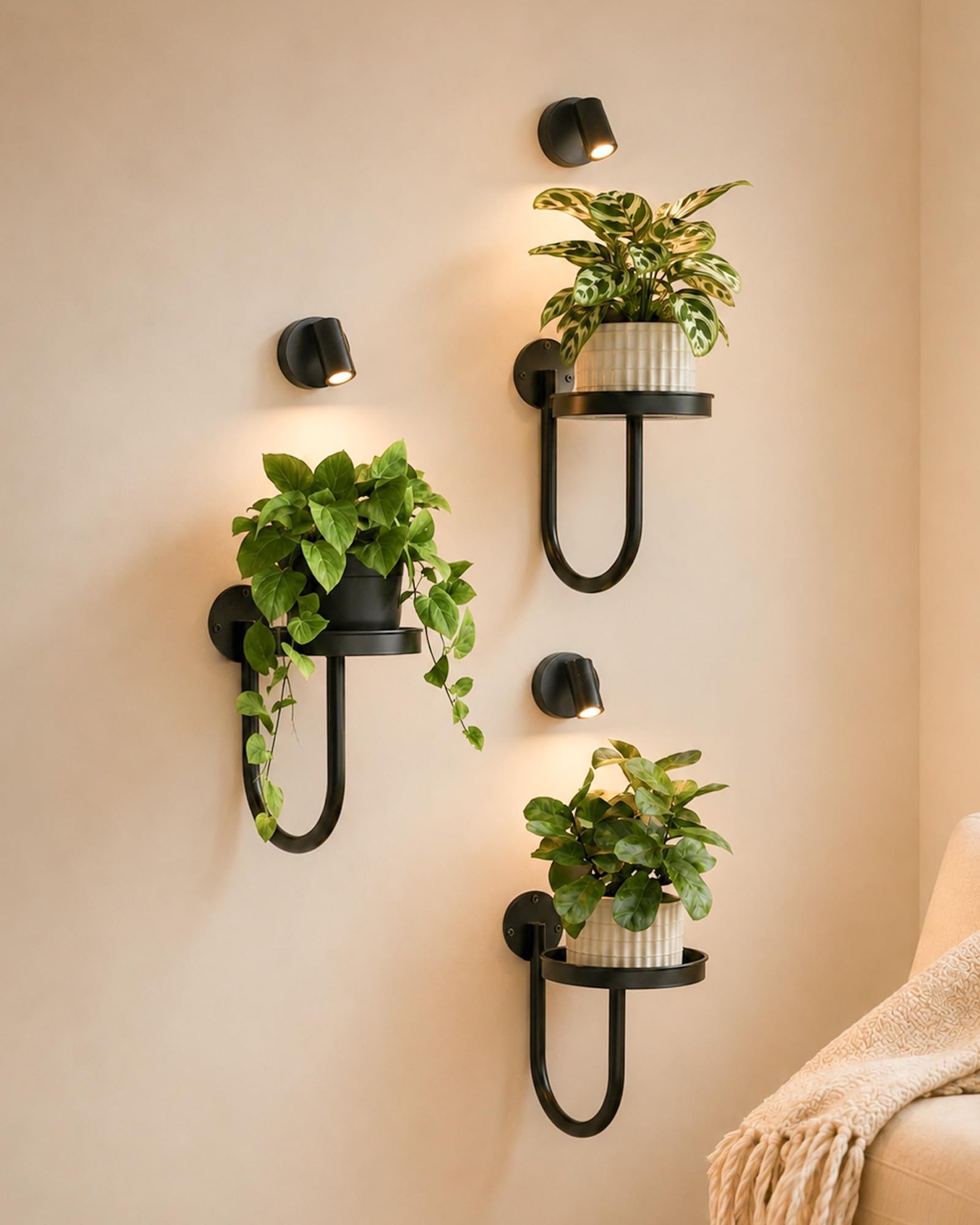 Bamworld Wall Decor Plant Stand with Lights