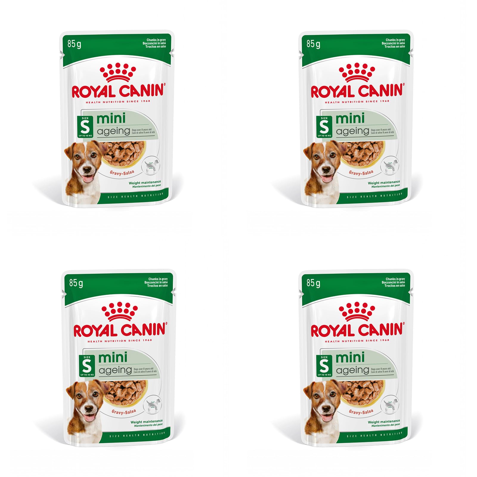 Royal Canin Mini Ageing 12+ | Paquete de 4 | 4 x 12 x 85 g | Alimento Completo para Perros Mayores de Razas pequeñas | Puede Ayudar a apoyar la Salud renal de los Perros | En Salsa
