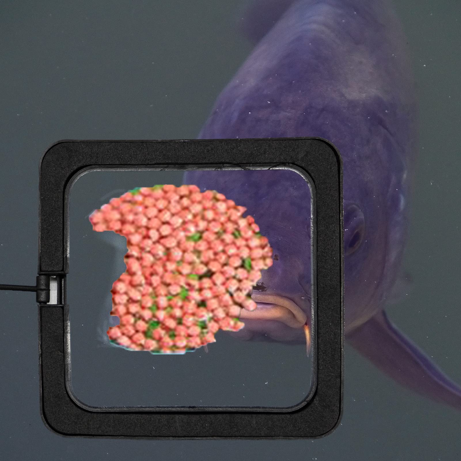 Mangiatoie quadrate nere per pesci d'acquario 10 cm con ventose
