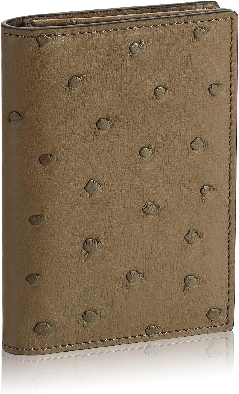 Ostrich Elephant Gray
