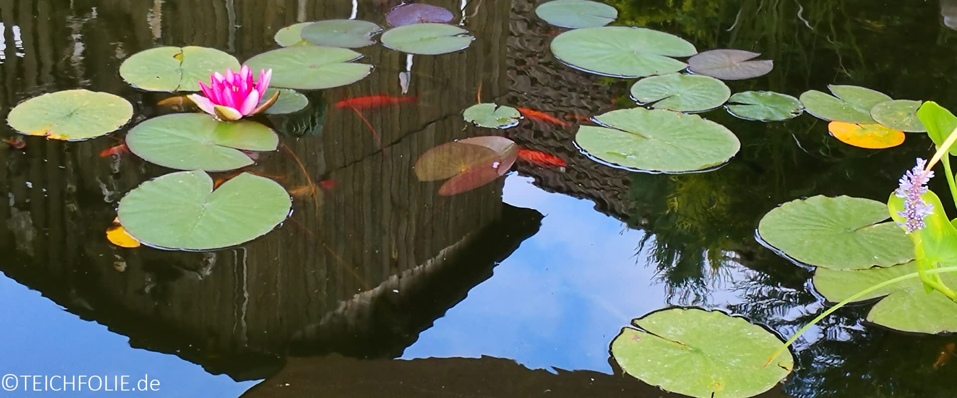 Teichfolie 8 x 3 m, Stärke 0,5 mm für DIY Teich, Schwimmteich, Gartenteich, Badeteich auch Ideal für Ihr Hochbeet im Garten - Teichfolie 3 x 8 m