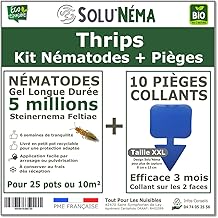 Nematodes Kit 5 million + 10 XXL sticky traps – Against Thrips – Long-Lasting Gel Formulation for Treating 25 Pots