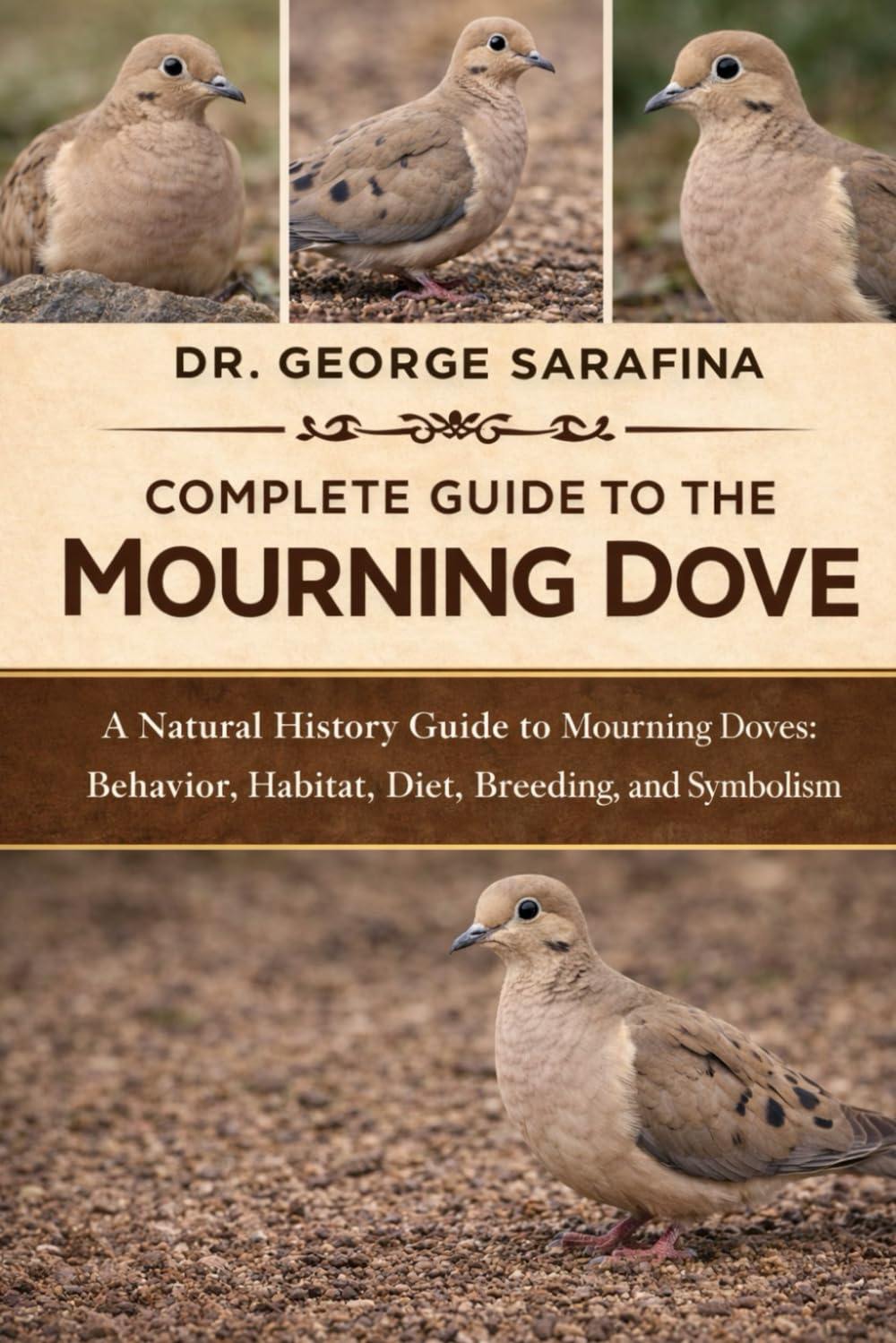 COMPLETE GUIDE TO THE MOURNING DOVE: A Natural History Guide to Mourning Doves: Behavior, Habitat, Diet, Breeding, and Symbolism