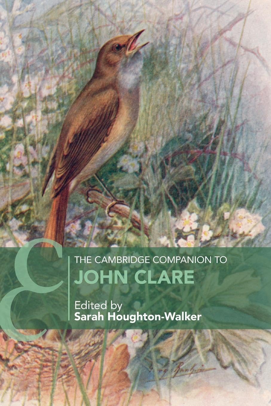 The Cambridge Companion to John Clare (Cambridge Companions to Literature)