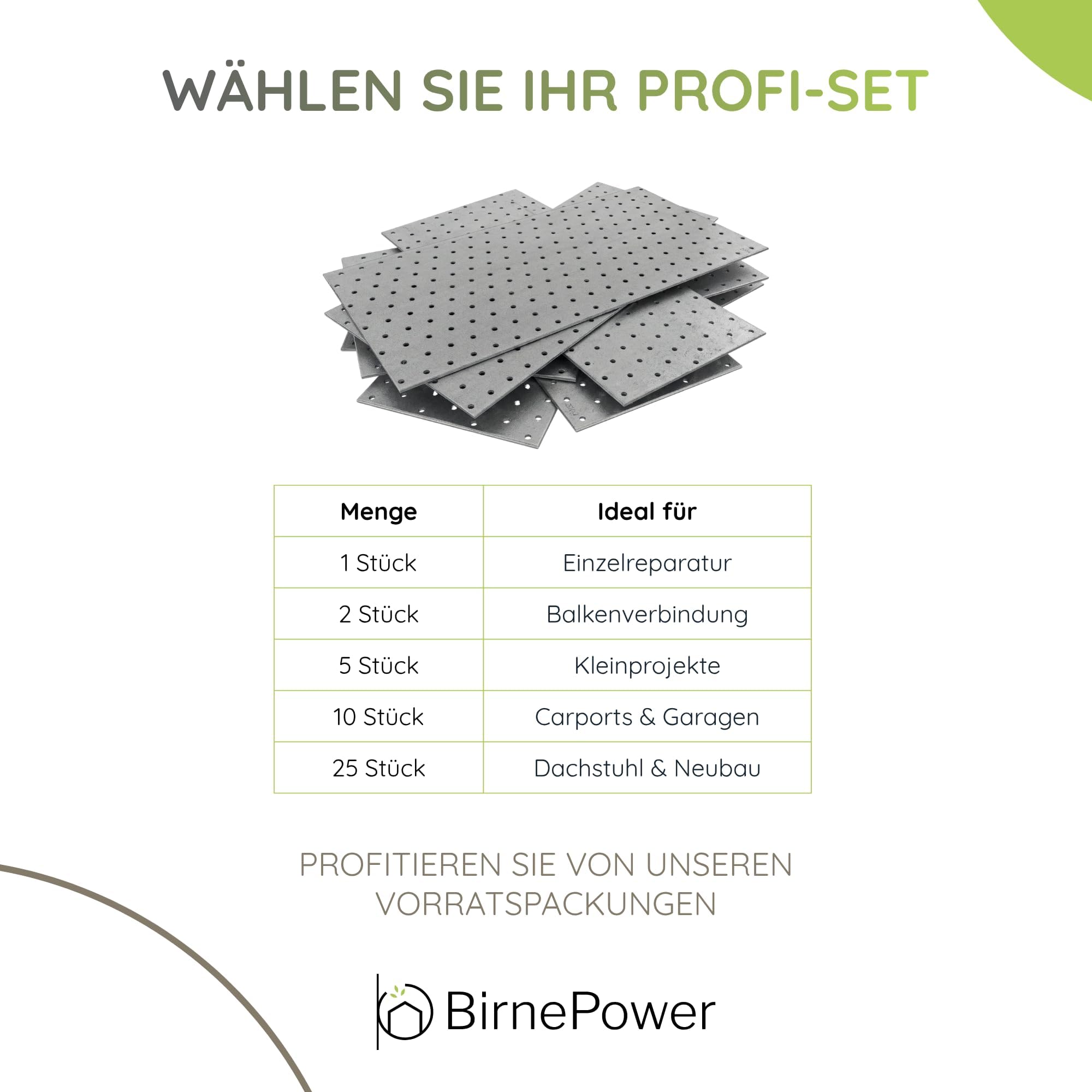 BirnePower Flachverbinder PP 25 (25 Stück) – Lochplatte 200 x 400 x 2,0 mm, Verzinkter Stahl, Holzverbinder für Balken & Dachstuhl, Montageplatte mit Universal-Lochung, Nagelplatte Stabil (Silber)