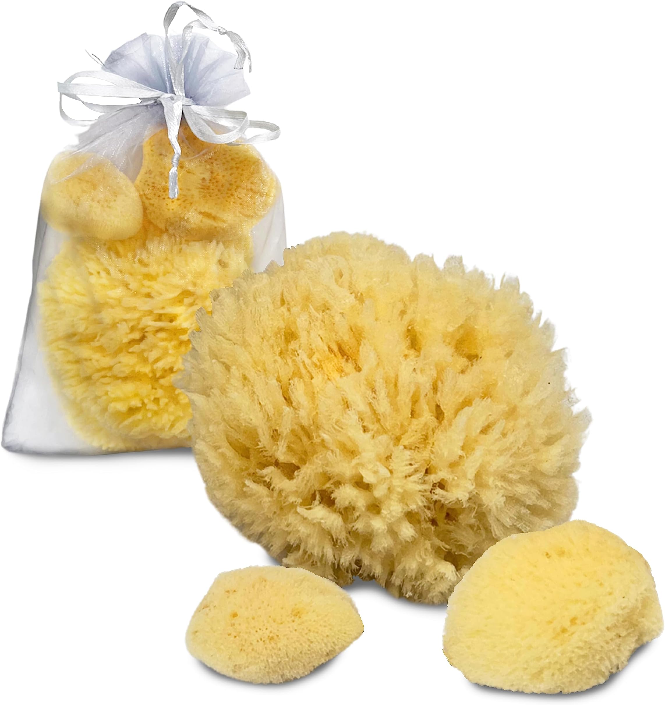 Constantia PetsSea Sponges for Dogs - Luxury Canine Bath Care, for Pet Grooming, Soft & Gentle Pampering