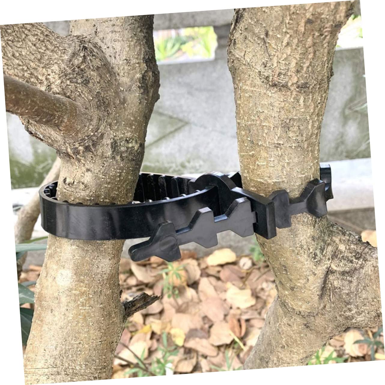 ibasenice 10 Stück Verstellbare Zugbänder für Obstbäume aus Schwarzem Gummi Robuste Baum und Pflanzenbinder zur Zweigfixierung und Baumsicherung im Garten