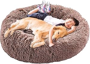 HANHAN Donut Ortopédico XL