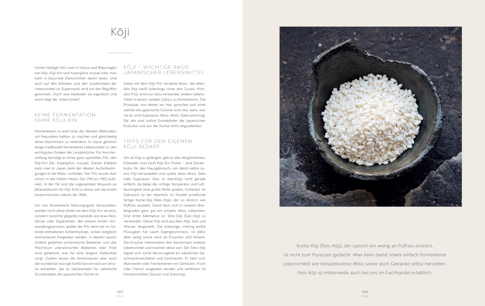 Japan: Die 5 Geheimnisse der japanischen Küche (GU Themenkochbuch)