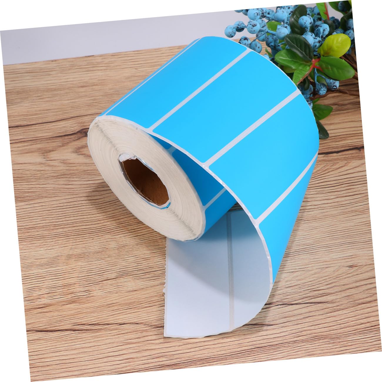 Etichette Rotonde Adesive in Carta Blu 1000 Pezzi per Organizzazione | Cartelle e Contenitori, Uso Negozio e Festa, Formato Tondo Semplice Aderenza Stabile