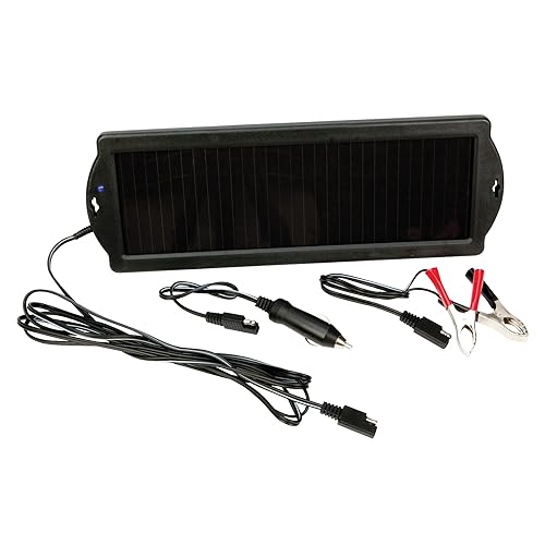 Performance Tool Mantenedorcargador de batería solar W2997 (2,5 W)