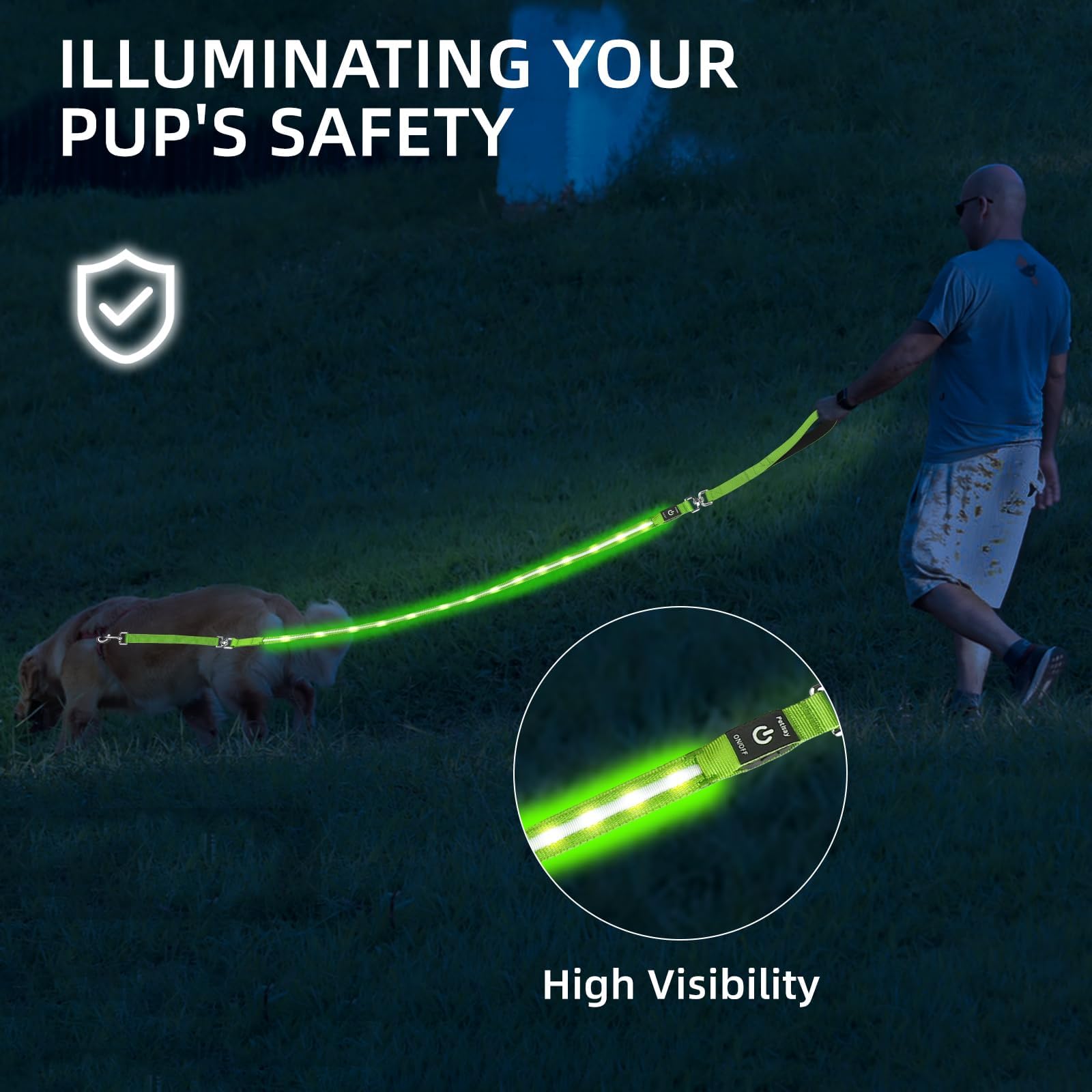 PetIsay Light up Dog Leash for Night Walking - USB-C Rechargeable, Waterproof - 6FT(Green)