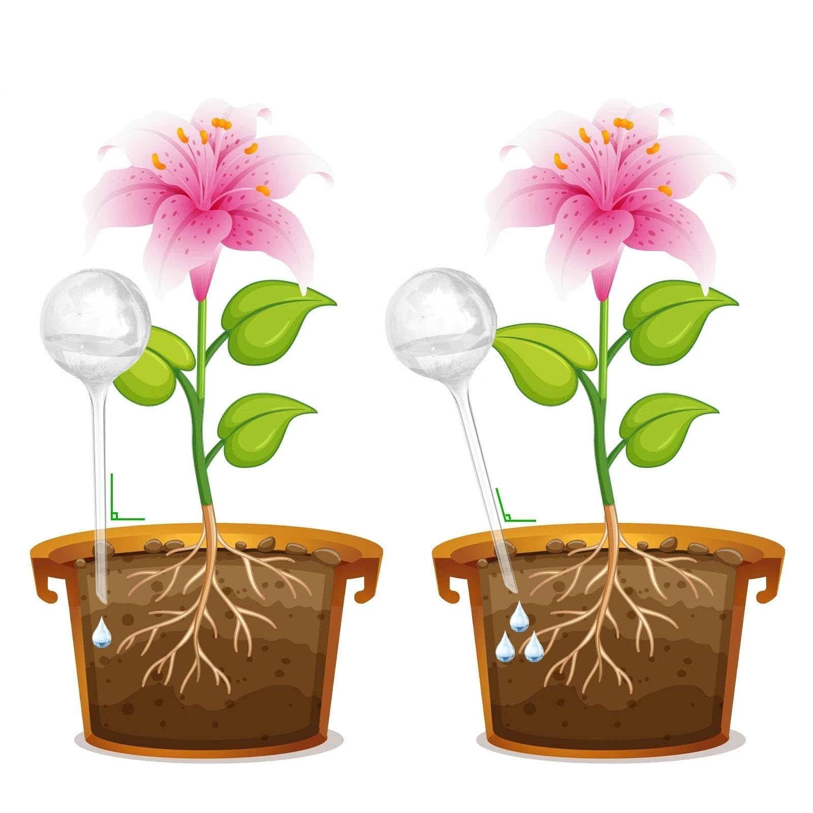 Cônes pour arrosage Système d'arrosage automatique for plantes, 10 pièces, dispositif à boules, piquet d'irrigation goutte à goutte(Transparent)